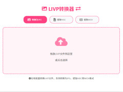 LIVPתiPhoneʵƬת+ȡHEIC/MOV