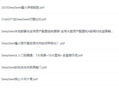 DeepSeekϺϼ ҵAI㷨Ӧʵսָ