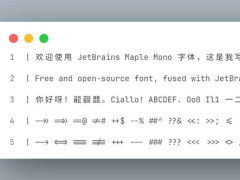 JetBrains Maple MonoѿԴĺϳ ߿ɶ