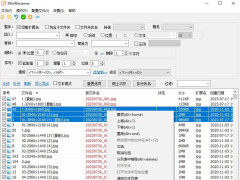 MiniRenamer_v2.2.2 ļ