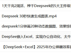 DeepSeek칫Ӧá2025Чֱ