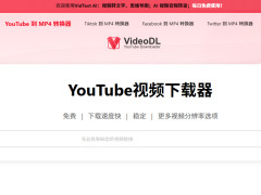 VideoDLѸȶYouTubeƵع ֧8K4KƵ