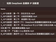 ת DeepSeek ý IP ѵӪ