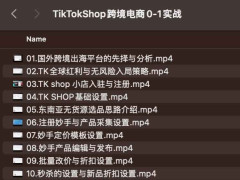 TikTokShop羳0-1ʵս
