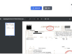 invoice-pdf-printerֵ߷Ʊӡ֣޷Դ