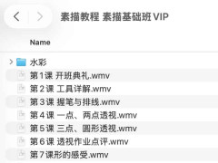 ̳ VIP