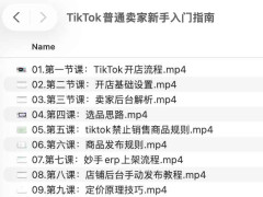 TikTokָͨ