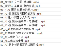 Ai滭+IPҵýʵپƷ
