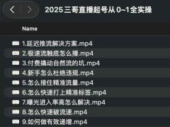 2025ֱŴ0~1ȫʵ