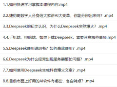 DeepSeek AIӪ