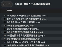 2025Ai˹Զʵս