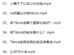 TikTok ShopTK С꣩ŵͨפѡƷӪͶFBTȫʵս